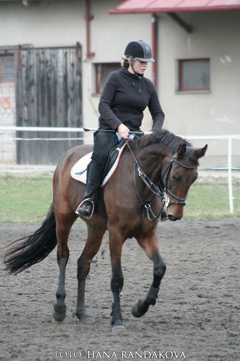 Míša Cravů (Carina)