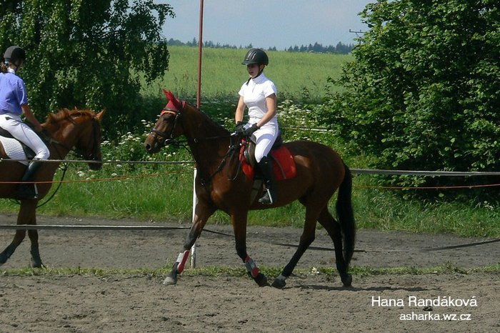 Linie